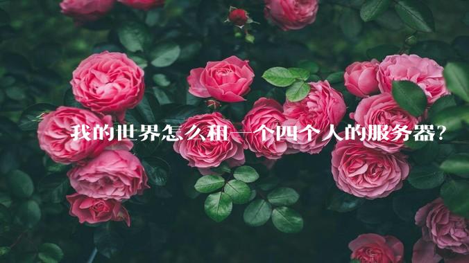 我的世界怎么租一个四个人的服务器？